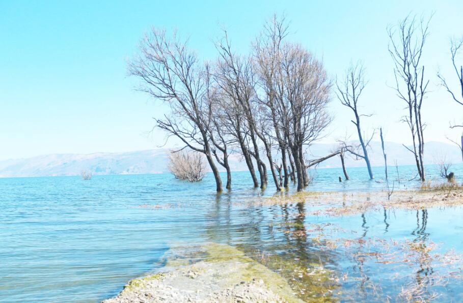 1496475450347305.jpg QQ截图20170603152852.jpg