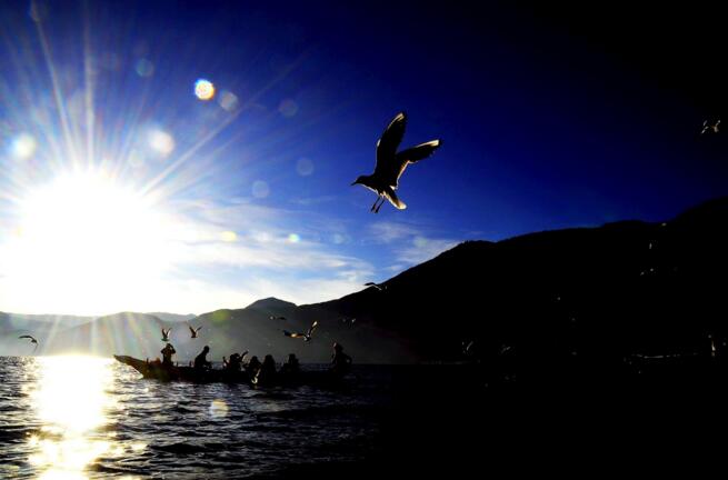 1496475498109192.jpg QQ截图20170603151926.jpg