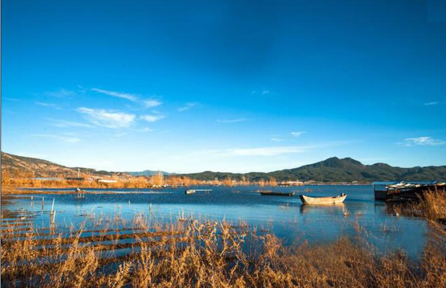 1496476913562193.jpg QQ截图20170603155417.jpg